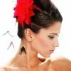 Black And Red Hair Clip