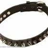 Rock Choker (Spiked) Adult
