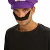 Super Mario Bros. - Waluigi Kit (Adult)